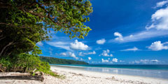  Andaman Tour Package